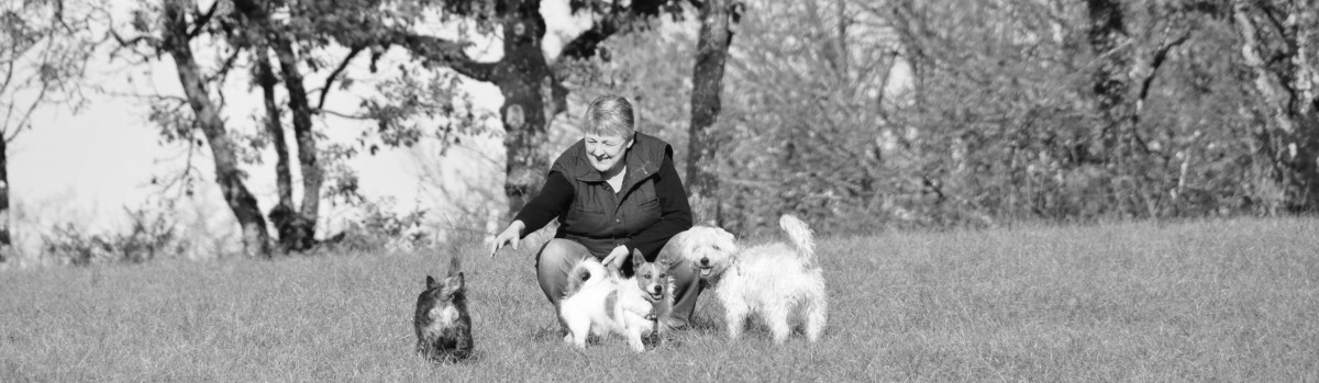 Mel and her family... Quercy, Monti and Gibson